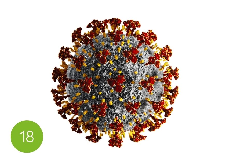 Führen in der Krise: Coronavirus, Pandemie und Co.